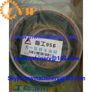 4120002264101 seal kit for SDLG LG956L wheel loader